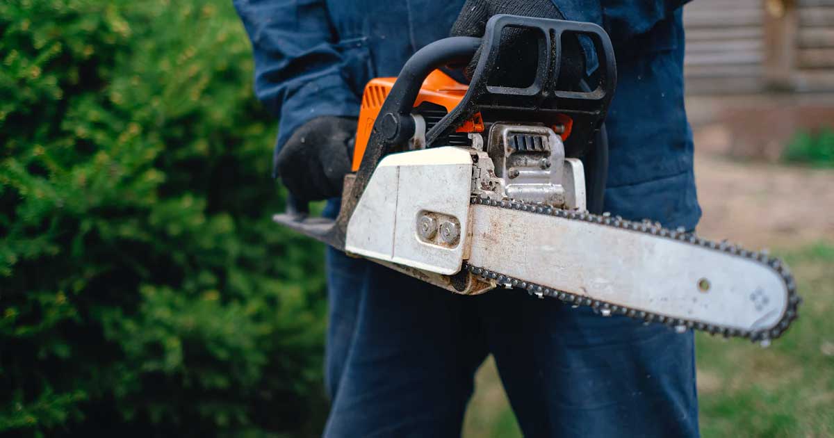 Cleaning the Chainsaw Chain