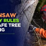 Chainsaw Safety Rules for Safe Tree Cutting