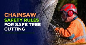 Read more about the article Chainsaw Safety Rules for Safe Tree Cutting