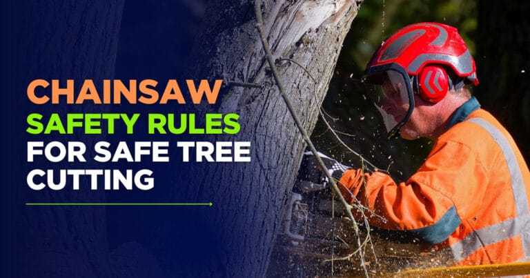 chainsaw safety